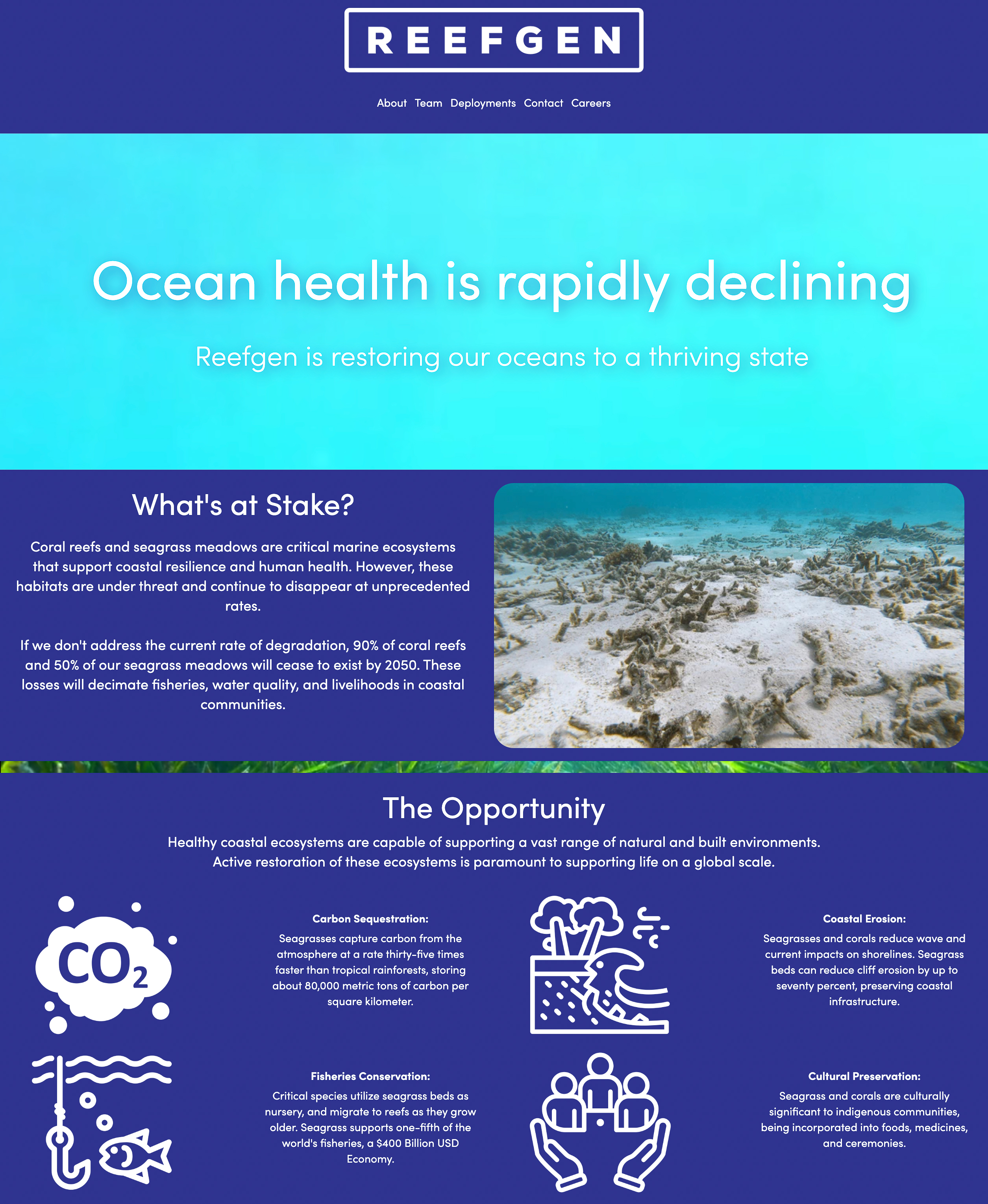 Reefgen brand showcase