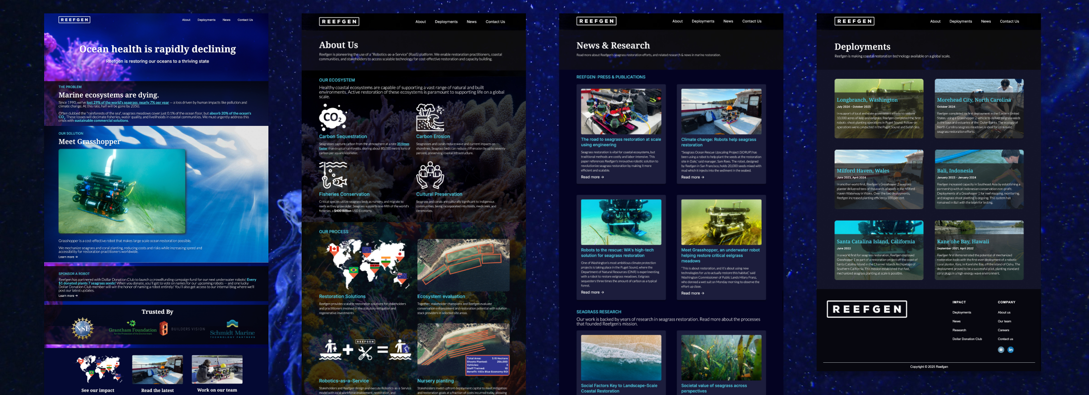 Reefgen project preview