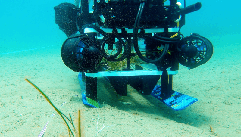 Reefgen project preview